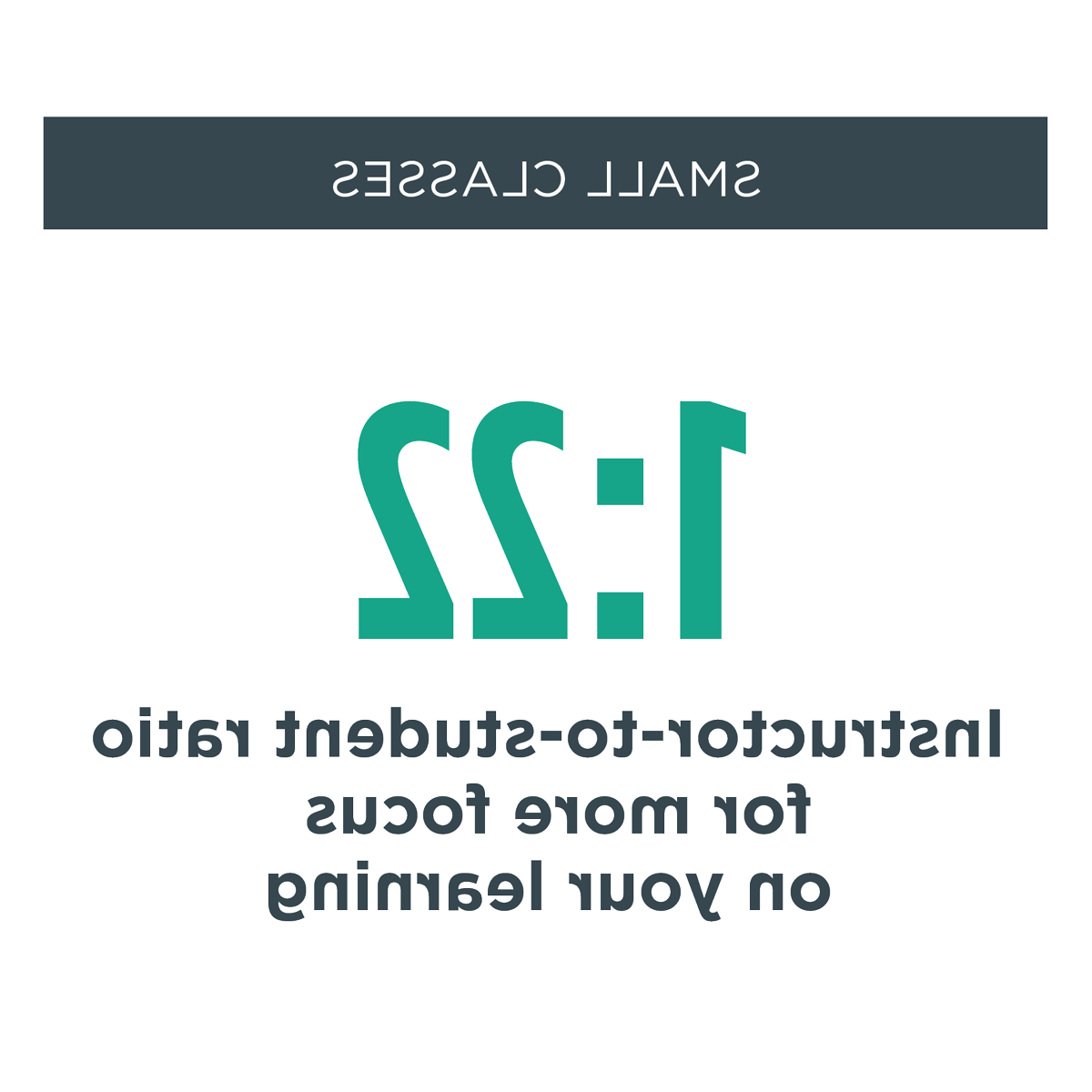 small classes - Instructor-to-student ratio provides more focus on your learning